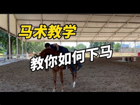 上馬 下馬